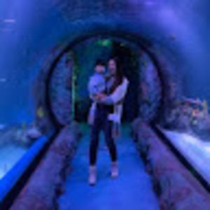 Meet your Posher, Ahsung